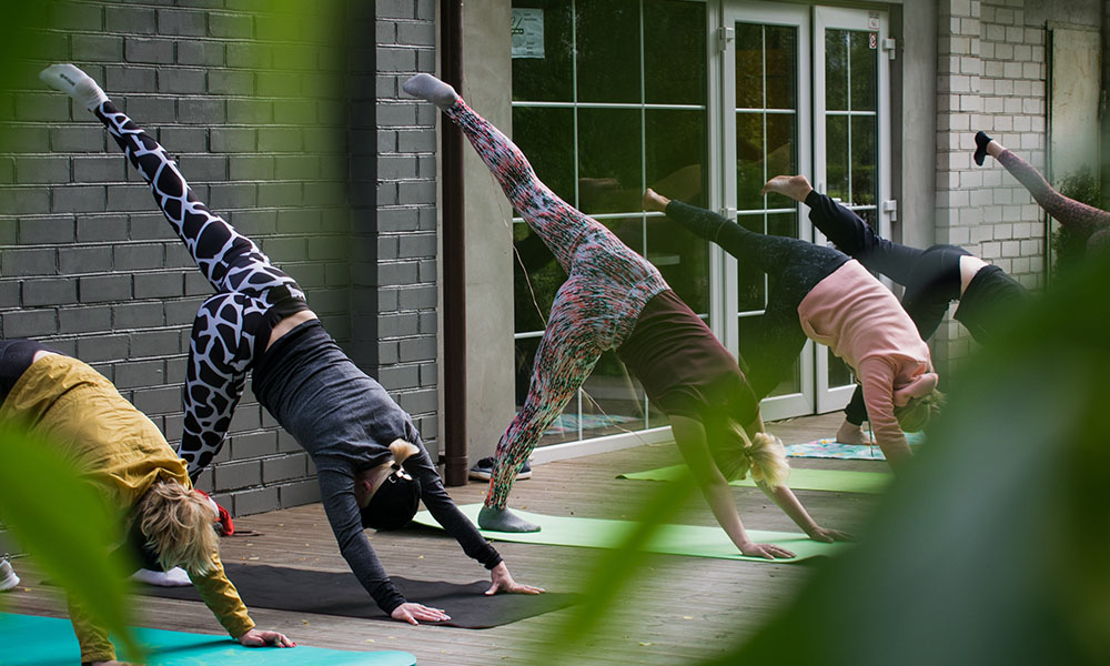 Group of women enjoying a yoga session together